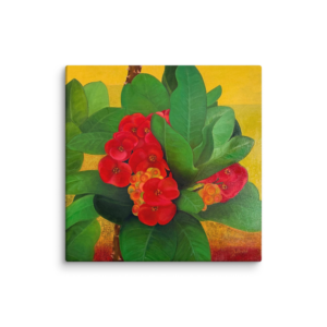 Crown of Thorns - 20" x 20" Canvas