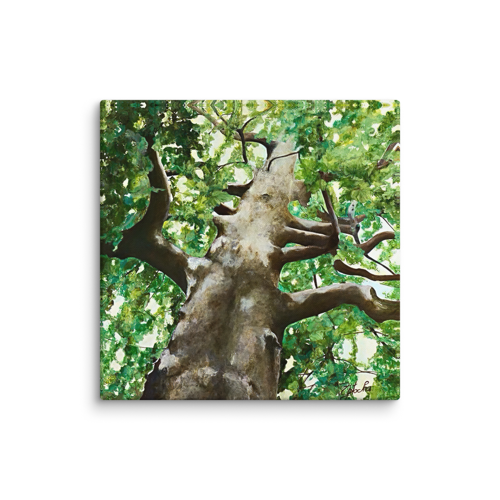 Under the Mighty Oak - 20"×20" Canvas